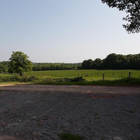 Domaine Du Bois Chaumet Bed & Breakfast Couzon Exterior foto